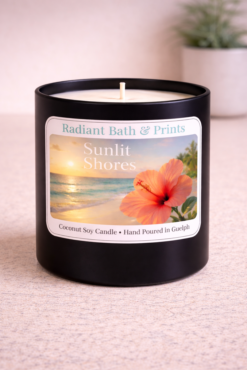 Sunlit Shores 8.0 oz Candle